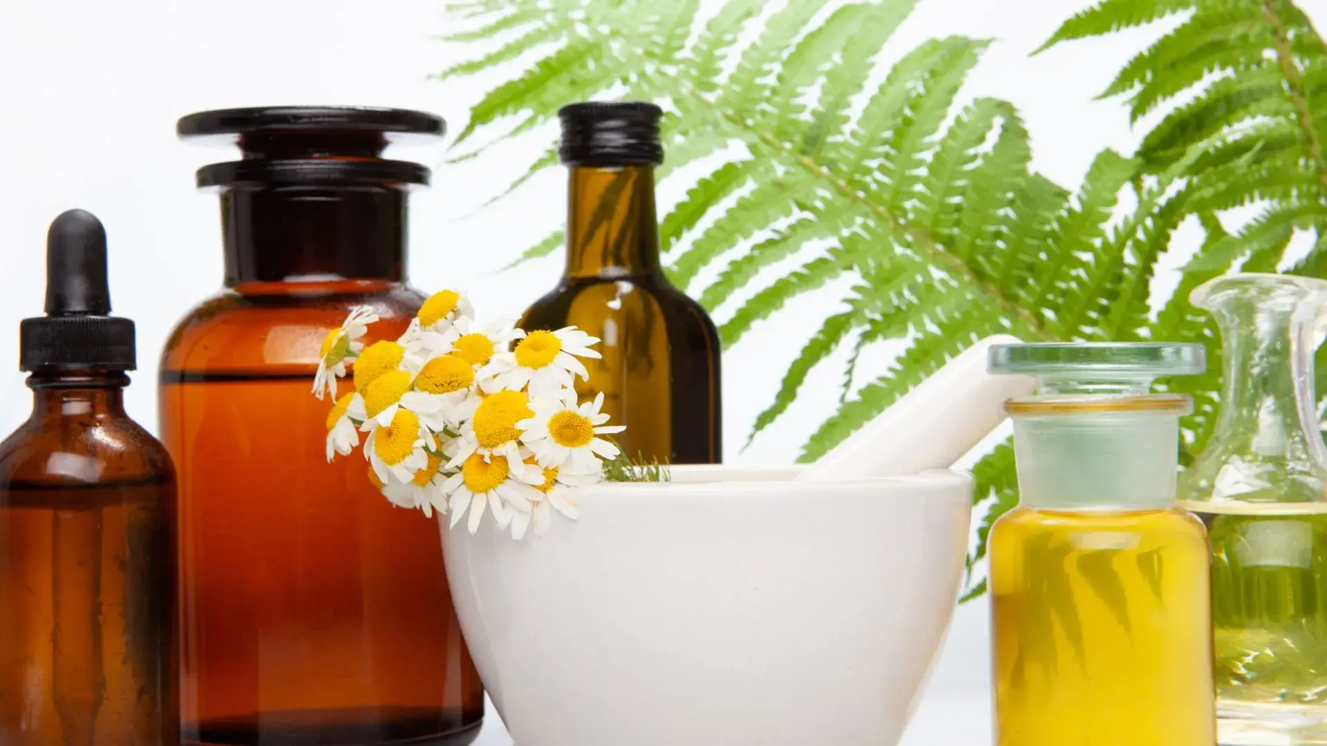 General Questions About Naturopathic Medicine 28 Are Lab Tests Used by Naturopathic Doctors?