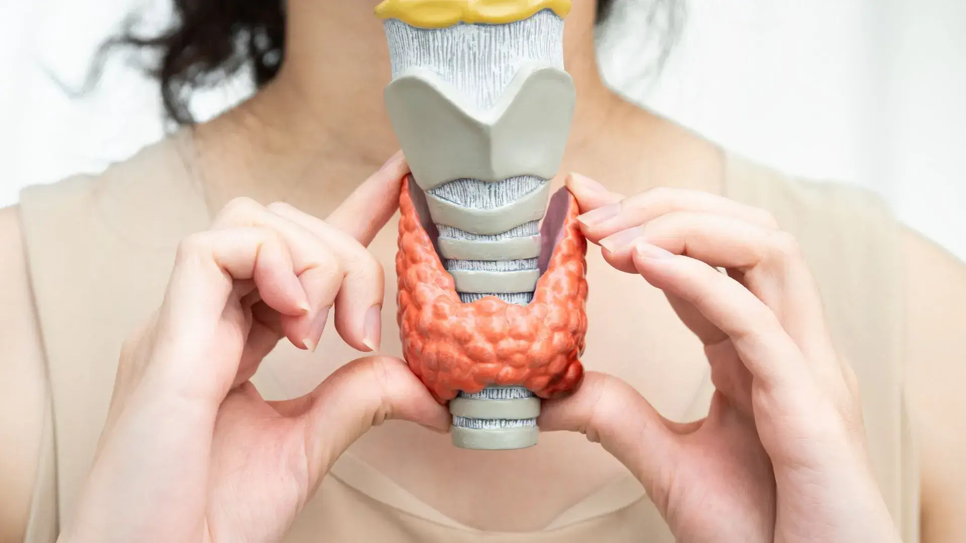 Diagnostic Testing and Assessment 30 Thyroid Function Testing