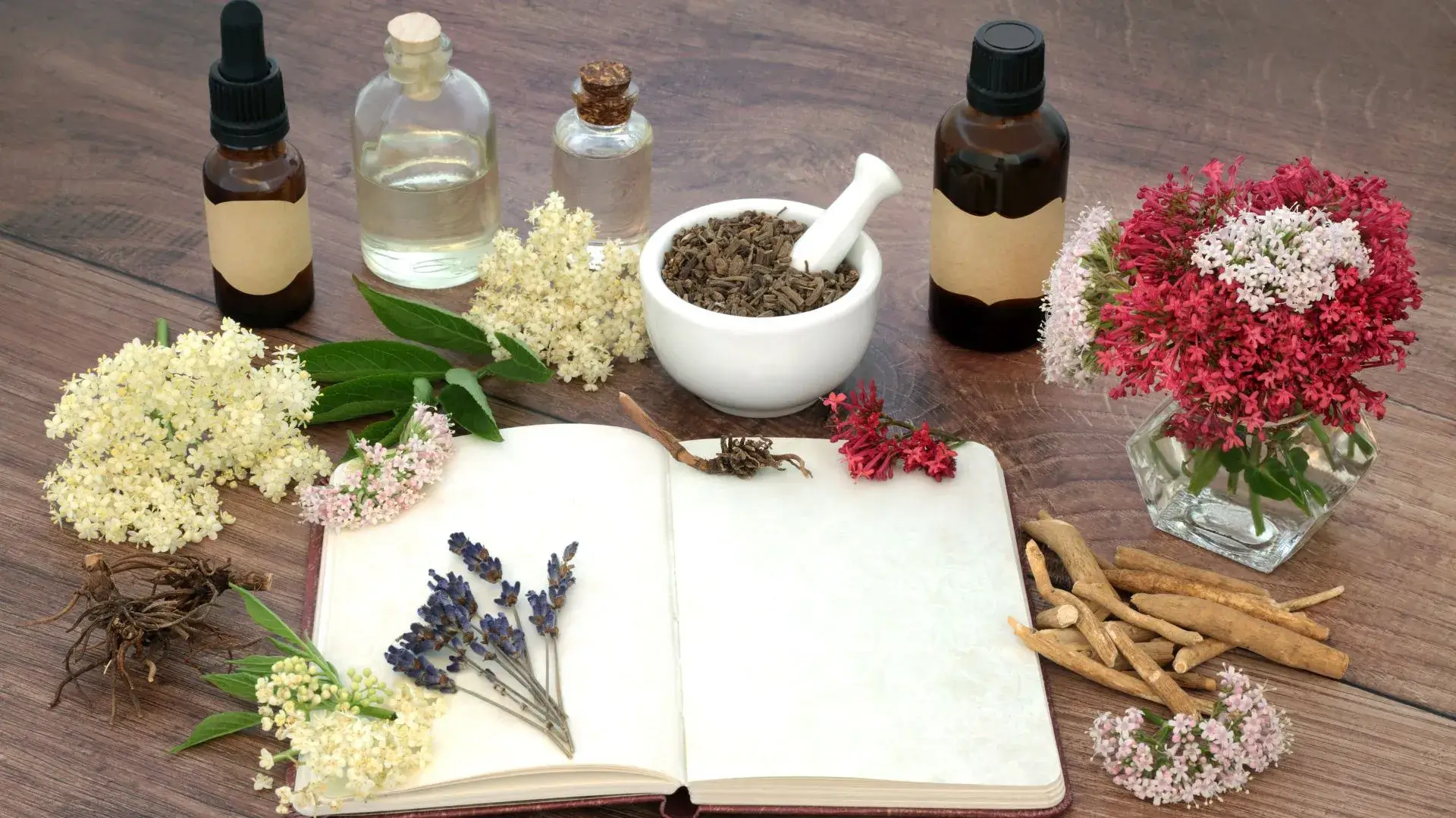 What Is Naturopathic Medicine | Oakville Naturopathic Doctor 14 What Is Naturopathic Medicine?
